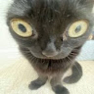 Meet your Posher, Maddi